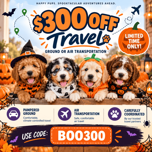 $300 off travel with promo code BOO300