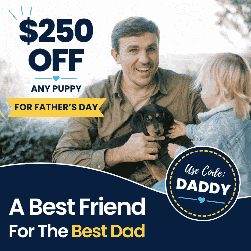 Promo code DADDY