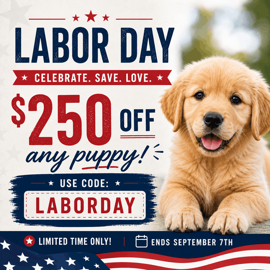 Promo code LABORDAY