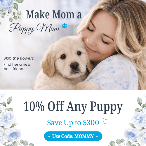 Promo code MOMMY