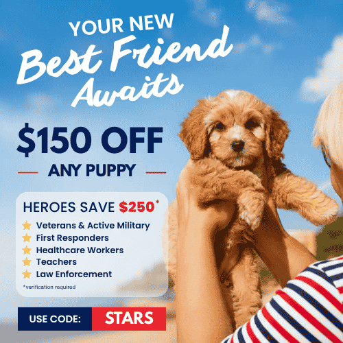 Promo code STARS