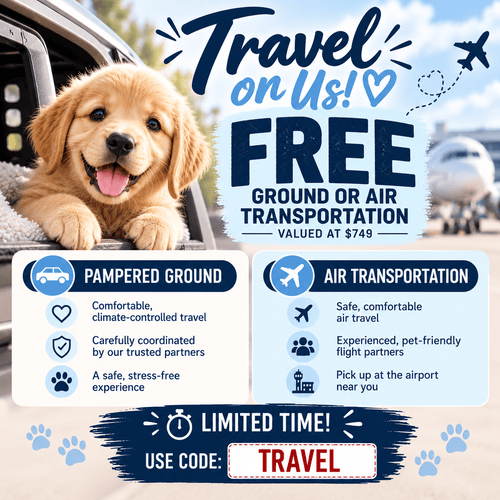Free travel up to $749 with promo code TRAVEL