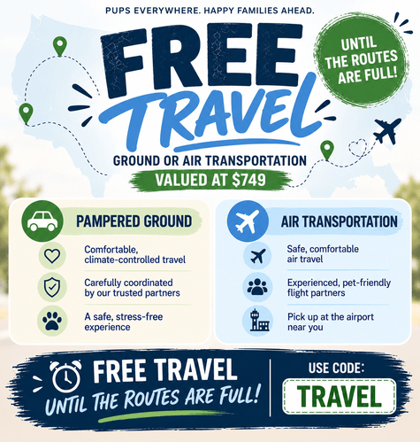 Limited space: free travel up to $749 with promo code TRAVEL, until our routes are full