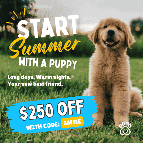 Promo code SMILE